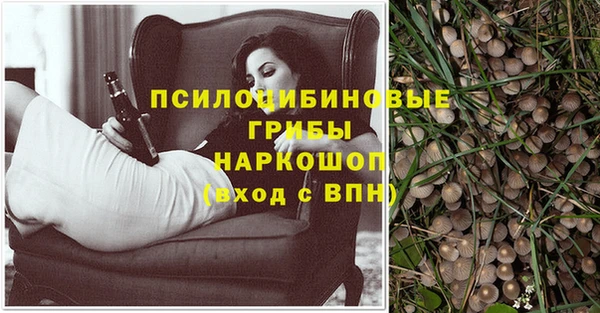 крисы Бронницы