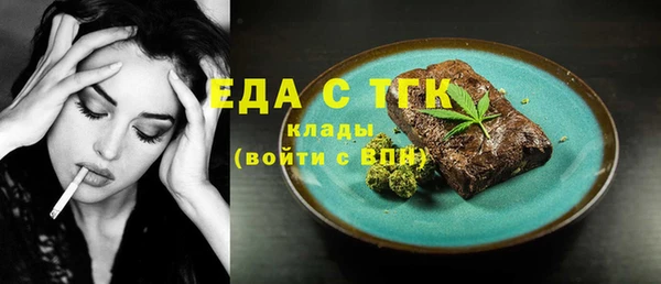 тгк Бородино