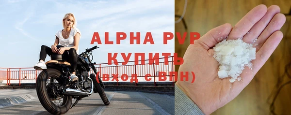 тгк Бородино