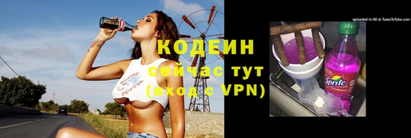 тгк Бородино