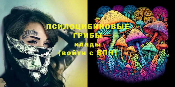 тгк Бородино