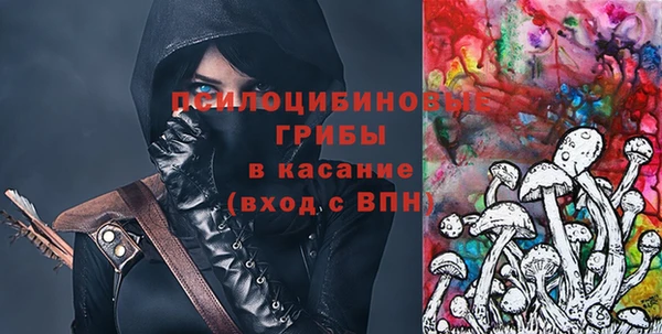 тгк Бородино