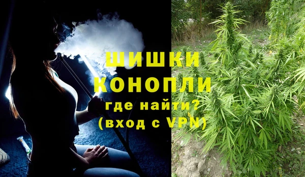 крисы Бронницы