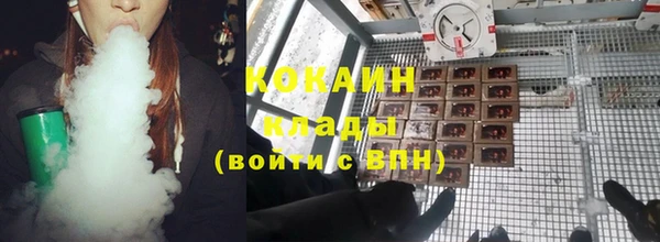 крисы Бронницы